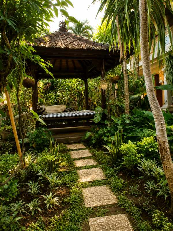 Tropical garden path with dense greenery